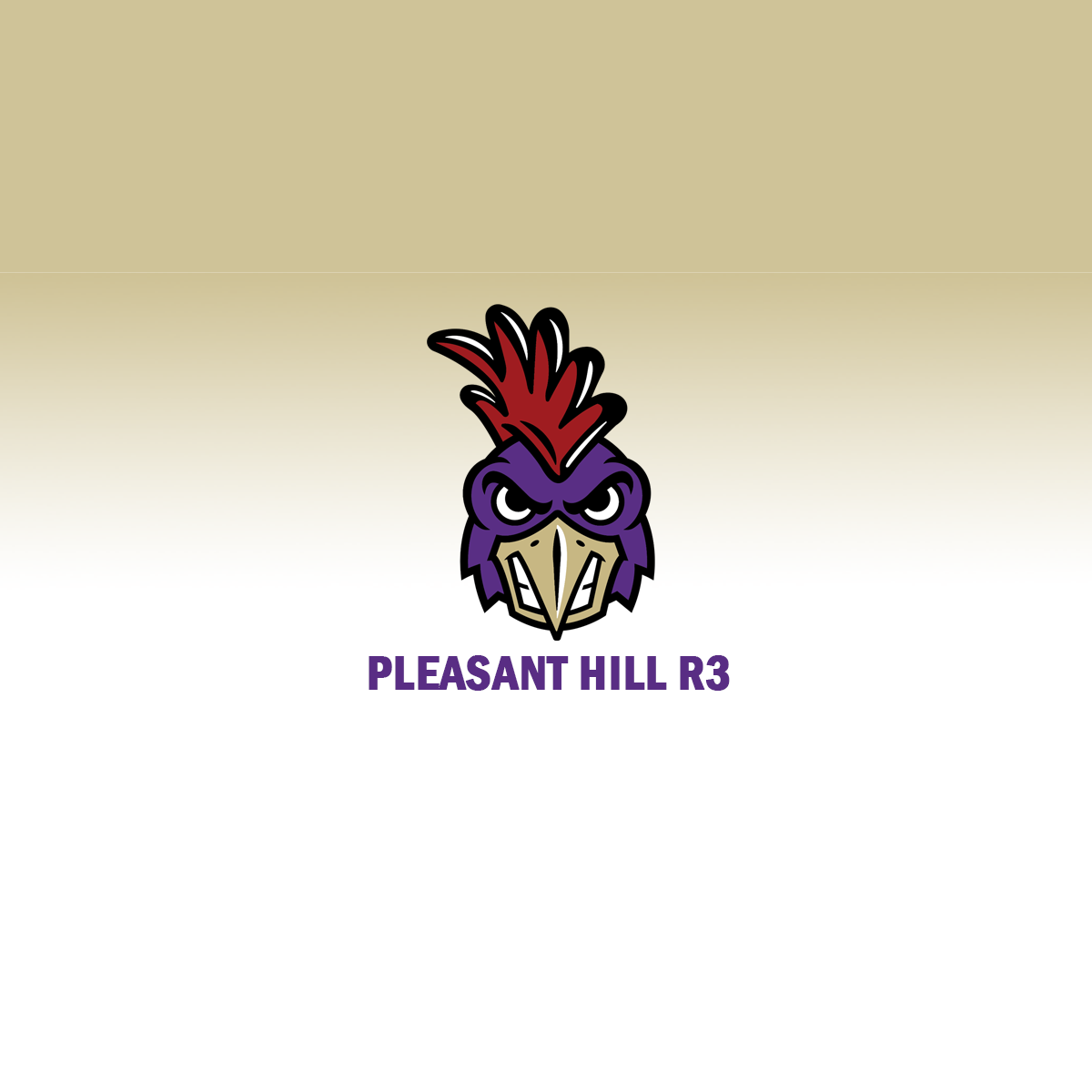 Pleasant Hill RIII Schools